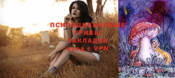 ECSTASY Осинники