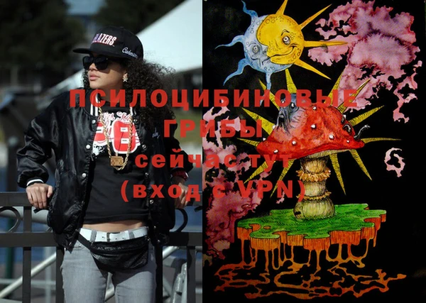 ECSTASY Осинники